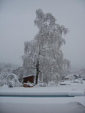 Schnee 002.jpg   16kb   26.03.2021 22:29:25